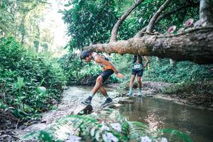 BIB: 
                            <button type="button" onclick="openModal(25430913)" class="btn btn-primary btn-sm float-right btn-popup" data-toggle="modal" data-target=".modal-high-quality">
                        <i class="fas fa-shopping-cart"></i> Add to Cart
                    </button>
                                            <button type="button" onclick="isThisMe(25430913, true)" class="btn btn-success btn-sm float-right btn-popup btn-isme hidden" data-toggle="tooltip" data-placement="bottom" title="นี่คือรูปของคุณใช่ไหม คลิกที่นี่เพื่อเอาเข้าอัลบั้ม">
                        <i class="fas fa-plus"></i> Add to album
                    </button>
                    <button type="button" onclick="isThisMe(25430913, false)" class="btn btn-warning btn-sm float-right btn-popup btn-isnotme hidden">
                        <i class="fas fa-ban"></i> Remove from album
                    </button>